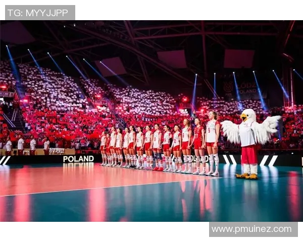 2023年城市体育明星排行榜揭晓各地运动员谁能脱颖而出