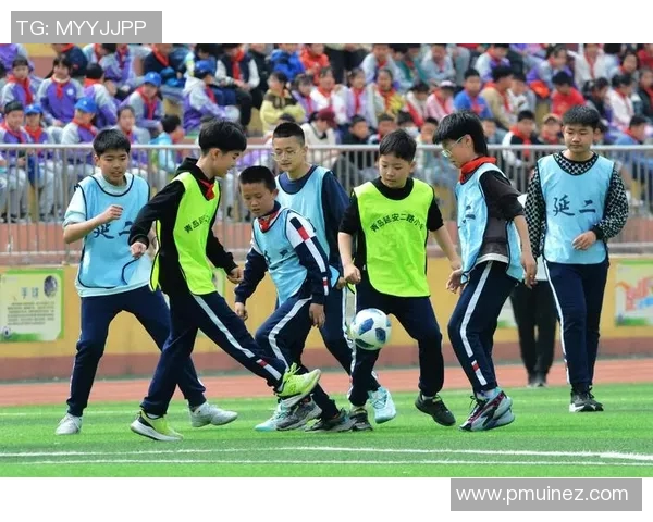 哇卡哇卡足球明星带你领略绿茵场上的激情与梦想 哇卡哇卡足球明星带你领略绿茵场上的激情与梦想