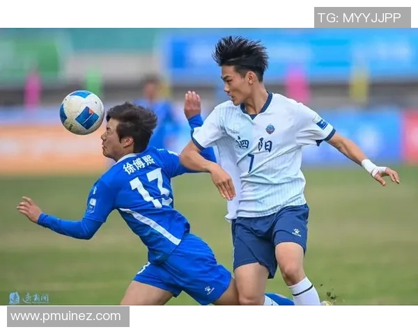 沭阳足球明星盘点及其在国内外赛场的精彩表现与成就分析