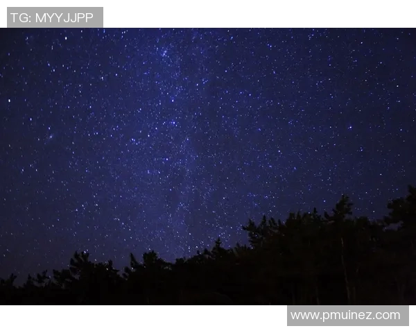 阿根廷足球明星璀璨星空展现激情与荣耀的传奇之路 阿根廷足球明星璀璨星空展现激情与荣耀的传奇之路