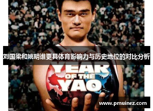 刘国梁和姚明谁更具体育影响力与历史地位的对比分析