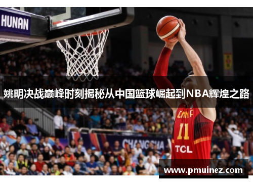 姚明决战巅峰时刻揭秘从中国篮球崛起到NBA辉煌之路