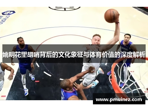 姚明花里胡哨背后的文化象征与体育价值的深度解析