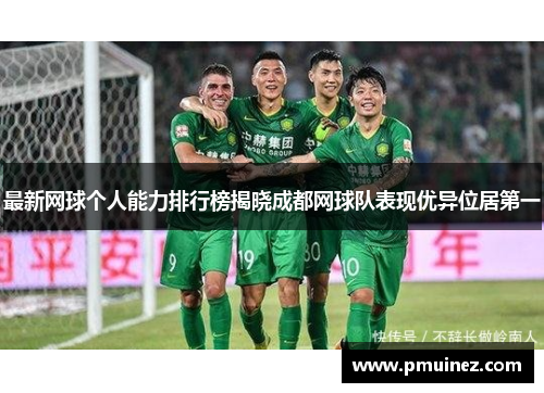 最新网球个人能力排行榜揭晓成都网球队表现优异位居第一