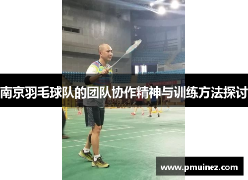 南京羽毛球队的团队协作精神与训练方法探讨