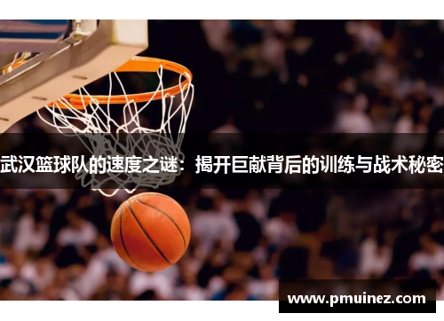 武汉篮球队的速度之谜：揭开巨献背后的训练与战术秘密
