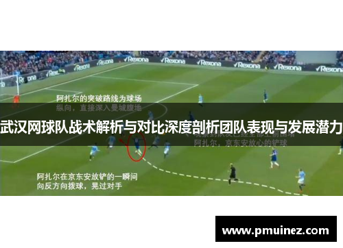武汉网球队战术解析与对比深度剖析团队表现与发展潜力