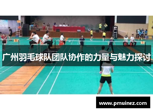 广州羽毛球队团队协作的力量与魅力探讨