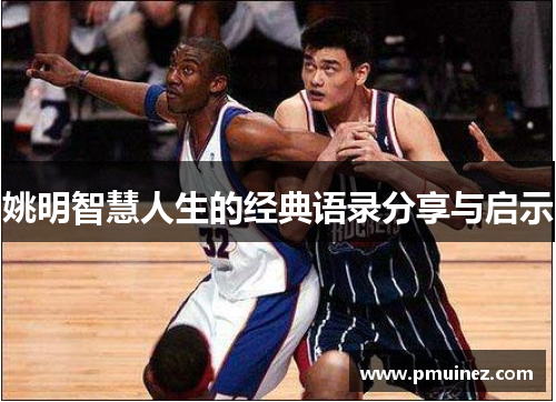 姚明智慧人生的经典语录分享与启示
