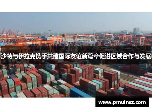 沙特与伊拉克携手共建国际友谊新篇章促进区域合作与发展