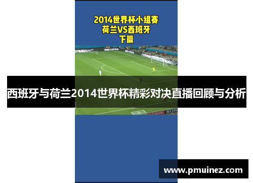 西班牙与荷兰2014世界杯精彩对决直播回顾与分析