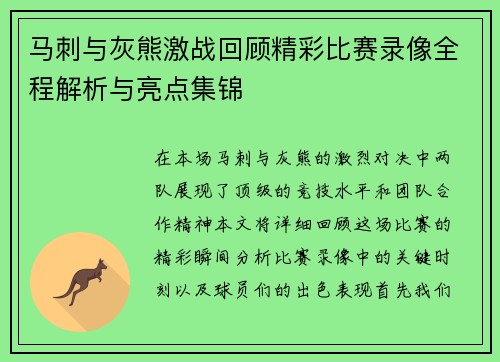 马刺与灰熊激战回顾精彩比赛录像全程解析与亮点集锦